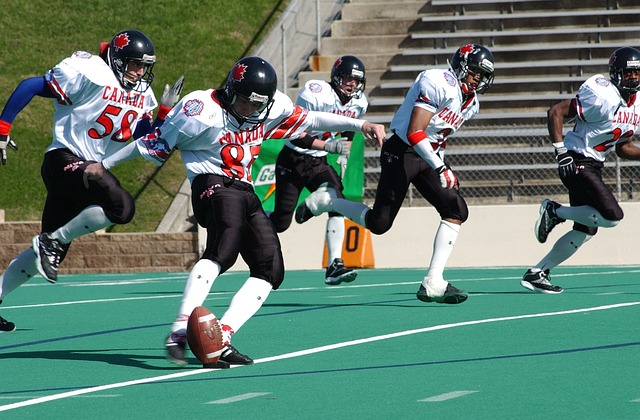 或许才是属 或许才是属