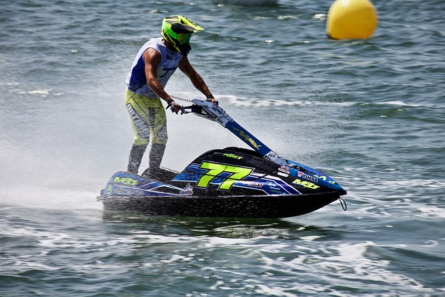 王公园巡游 王公园巡游