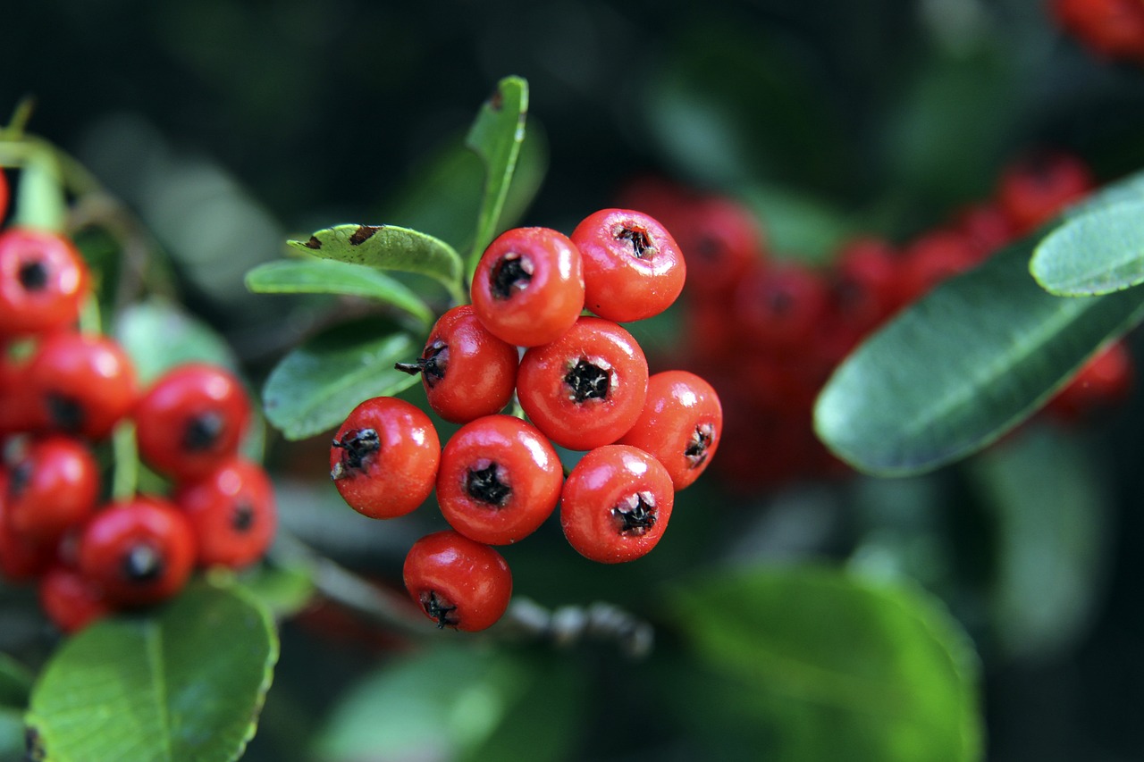 私下无私奉 私下无私奉