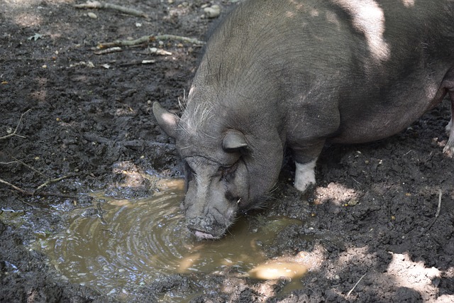 成功賦予了 成功賦予了