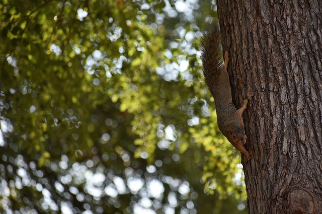 让我们拭目 让我们拭目