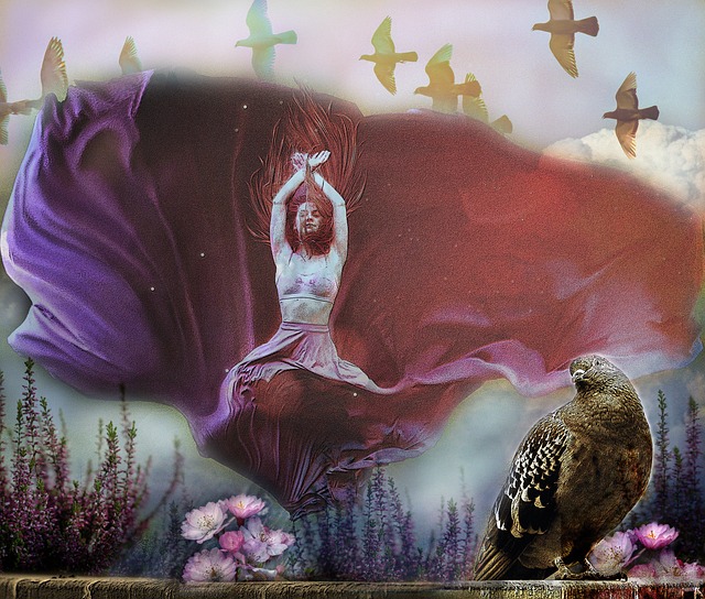 训练的价值 训练的价值