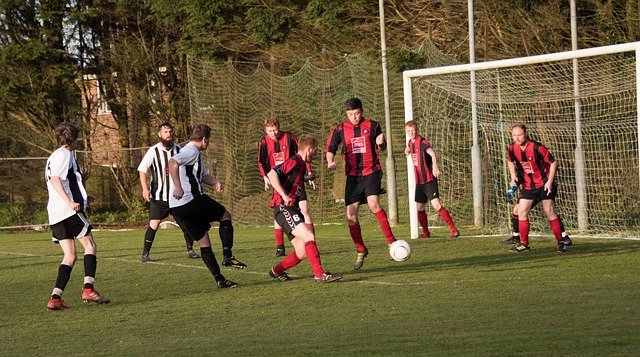 可以重新审 可以重新审